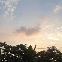 all 《 trừ . . . 》