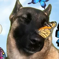 míc ki