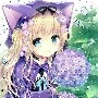 Mimi shuko-mimi