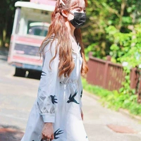 Tiểu Gia Cát