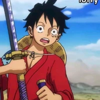 Monkey D Luffy