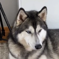 Hao Thiên - Nguyên Hình 