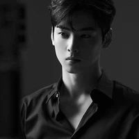 Cha Eun Woo