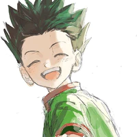 Gon Freecss