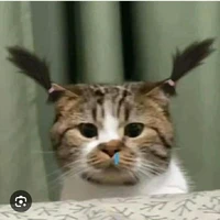 nhỏ t/g đin khùm 