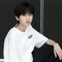 Tả Kỳ Hàm_anh