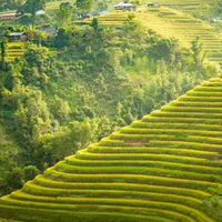 Con nì đáng đánh