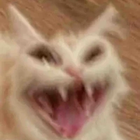 Hệ thống 510(ozi)