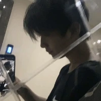 Đình Quân Lâm ( n9 , anh )