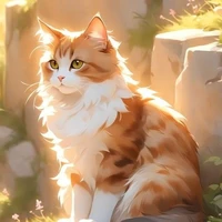 Tama