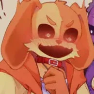 dogday