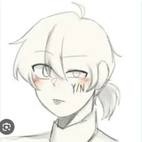Y/N_Neighbor