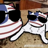 allbot