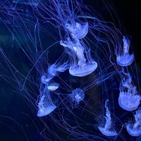 All nv trừ ai thì trừ(つ⌯