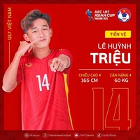 Lê Huỳnh Triệu