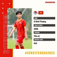 Vi Đình Thượng