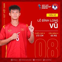 Lê Đình Long Vũ
