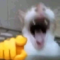 chuahefreefire