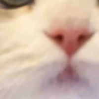Neko-chan