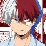 Todoroki Shoto(shoto)