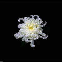 Hệ thống 002