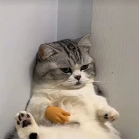 Tác giả😌
