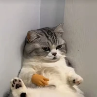 Tác giả😌