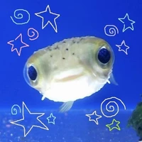 Tác giả Fin tăng động đâyyy (つ✧ω✧)つ