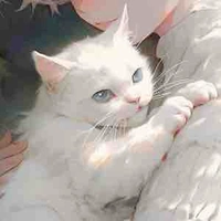 Nguyện ăn phở tới lúc tắc thở 🤓