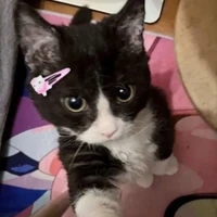 Juli