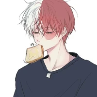Todoroki Shoto