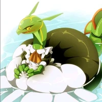 Rayquaza Junior