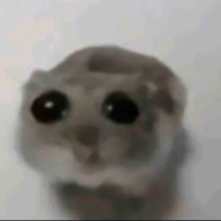 T/G