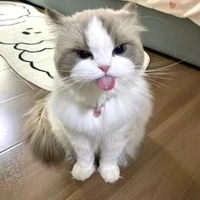 tg dethuong s2 k ai s1