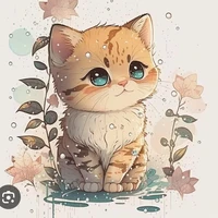 kasi [hệ thống]