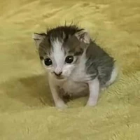 Tí biết nhó nhó🐟(⁠ ⁠◜⁠‿⁠◝⁠ ⁠)⁠♡