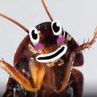 bé tiểu cường cute họt me