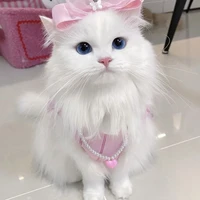 Lily (thú cưng của cô)