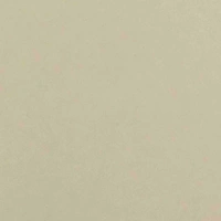 Mọi người 