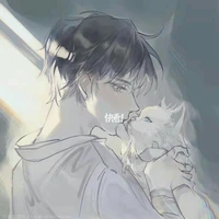 Mèo