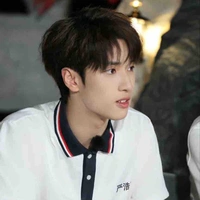 Nghiêm Hạo Tường 