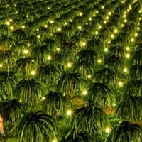 Lục bảo thạch