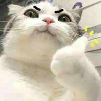 T/G