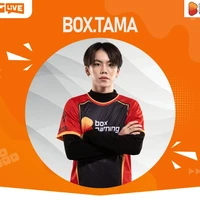 BOX_TAMA