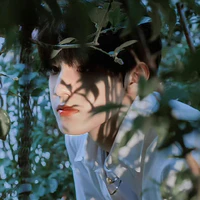 trương trạch Vũ_cậu