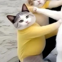 Họ và tên : Tác giả