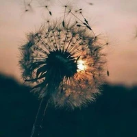 m. n ( Trừ những người cần Trừ)