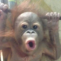 anh trai chịu đau quá dữ