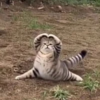 🌱