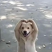 người tưới cây